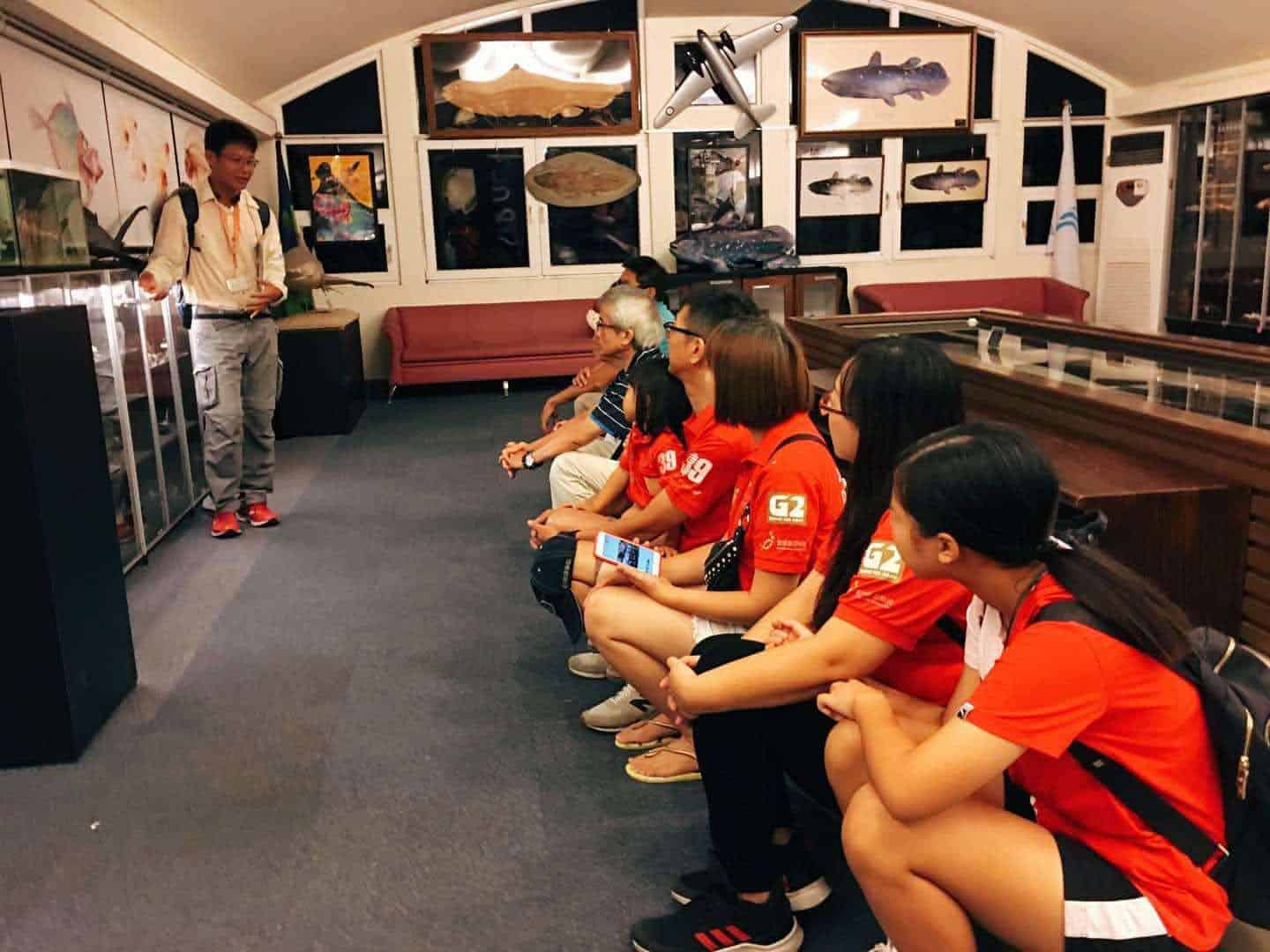TCI大江生医投入海洋保护行动，与海生馆合作海龟野放活动4