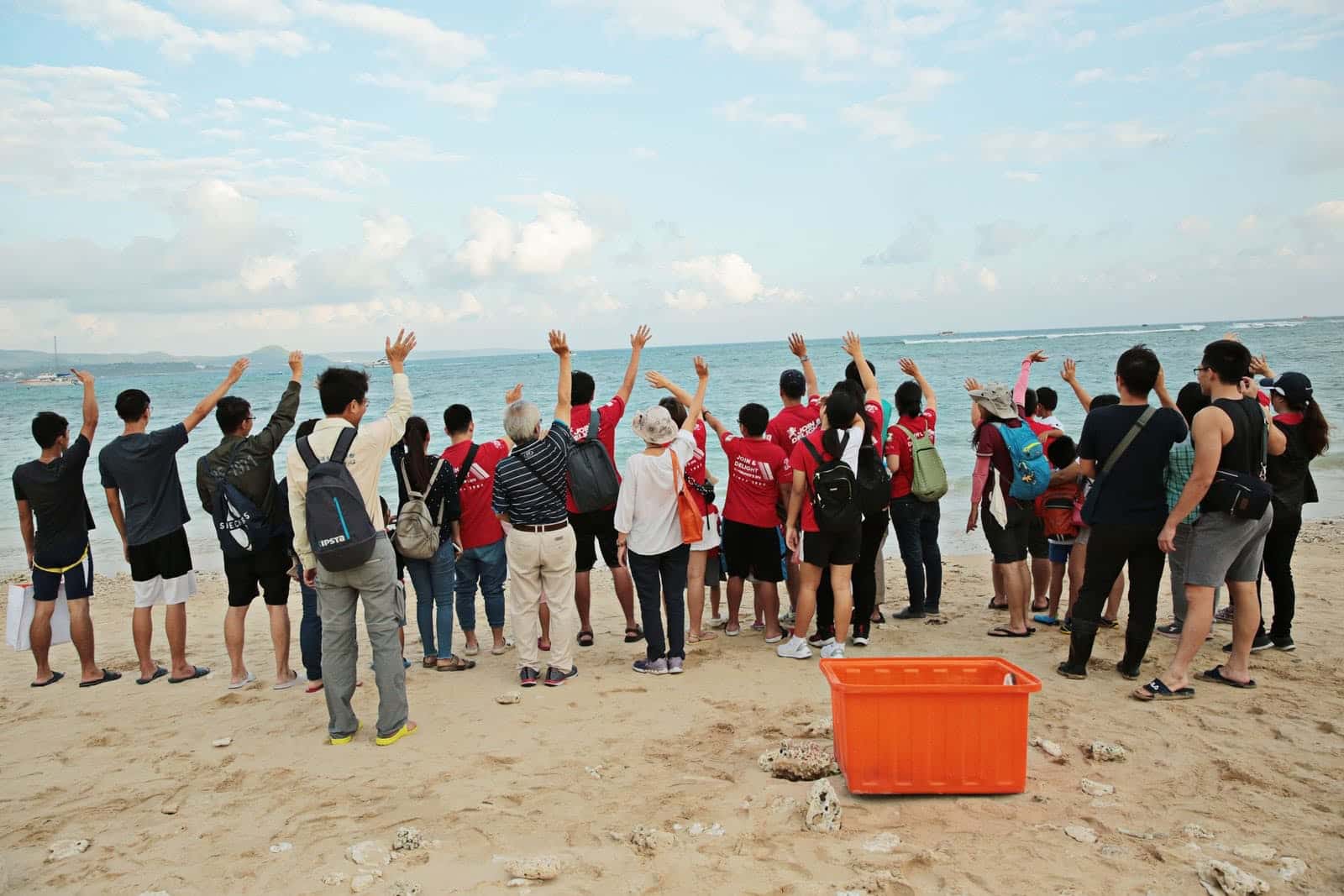 TCI大江生医投入海洋保护行动，与海生馆合作海龟野放活动3
